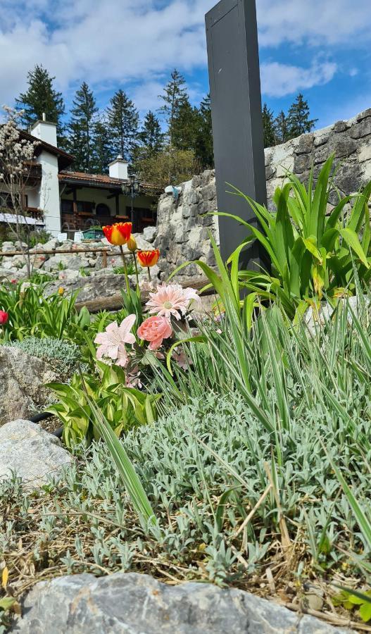 Alpenchalet Zum Jeremia Grainau Dış mekan fotoğraf